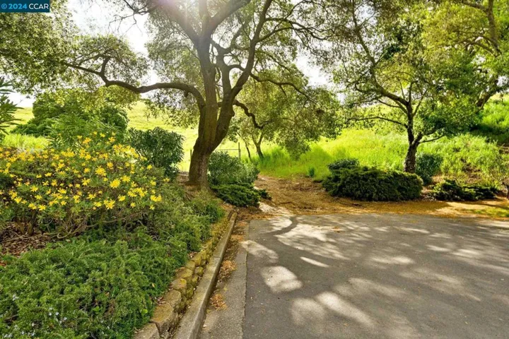 1995 Cactus Ct 2, Walnut Creek, California 94595