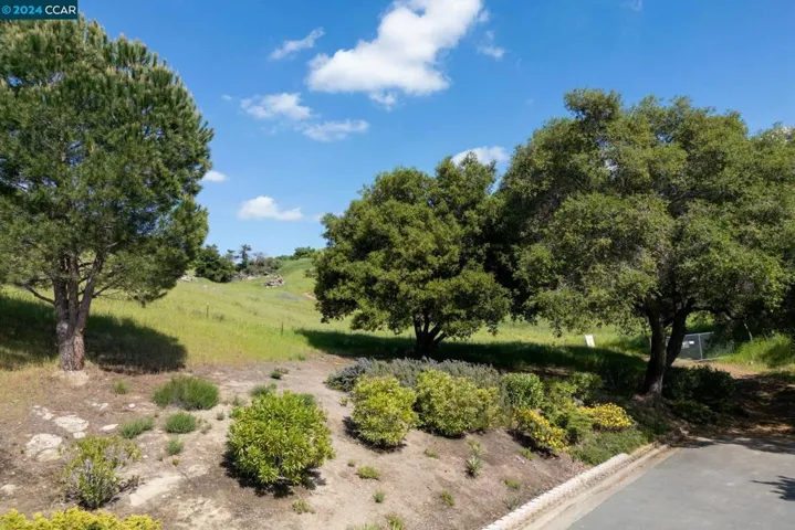 1995 Cactus Ct 2, Walnut Creek, California 94595