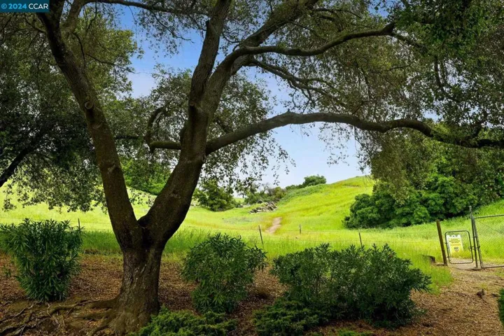 1995 Cactus Ct 2, Walnut Creek, California 94595