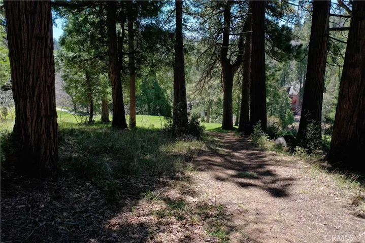 173 Hillcrest Court, Lake Arrowhead, California 92352