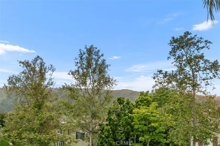 Canyon View