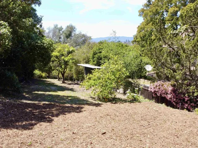 Side Yard