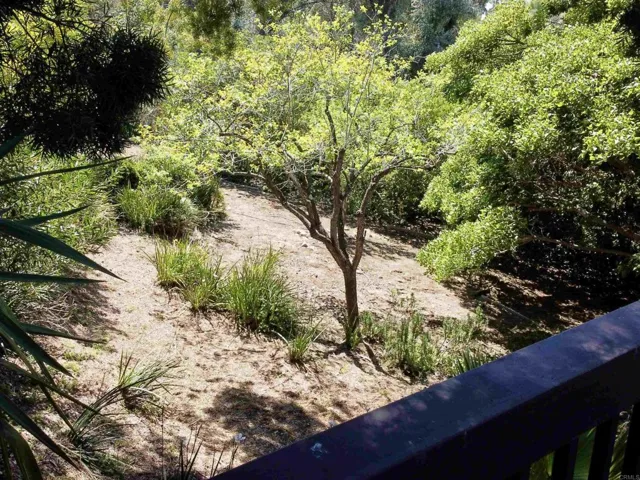 Lower Yard with Fruit Trees