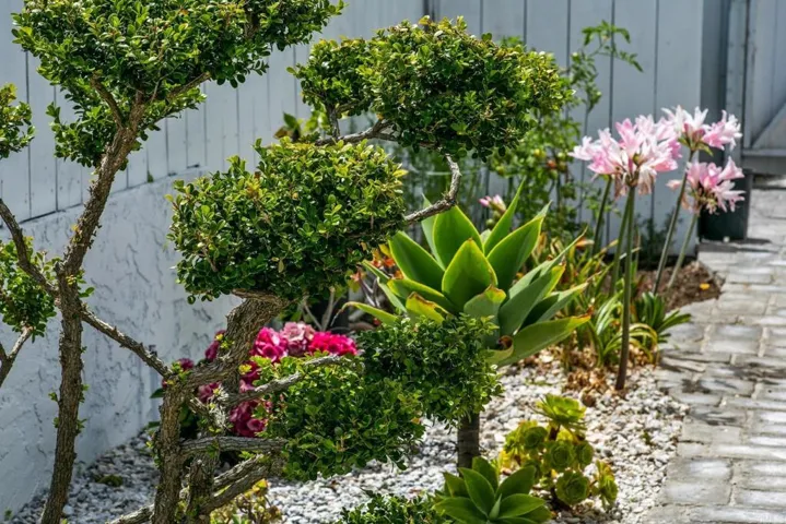 6073 Avenida Chamnez, La Jolla, California 92037