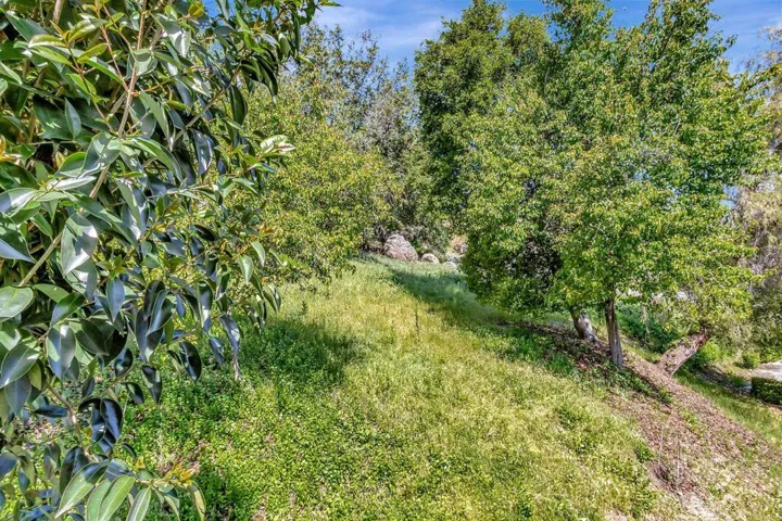 1213 Shelby Creek Lane, San Jose, California 95120