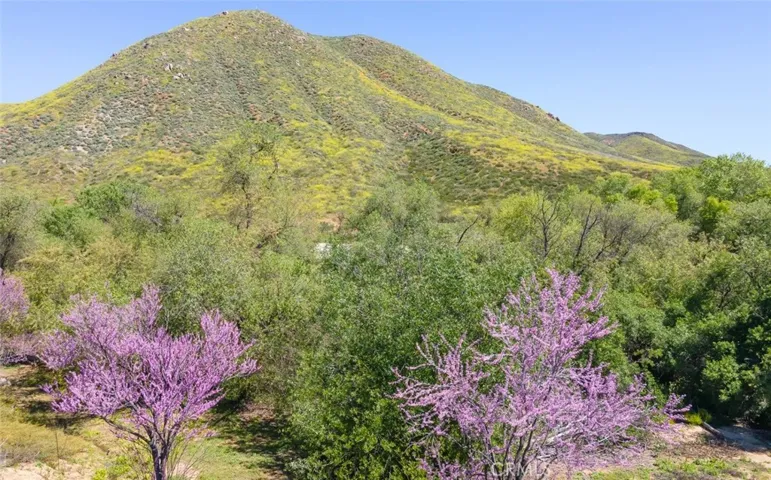 34013 Winterberry Lane, Lake Elsinore, California 92532