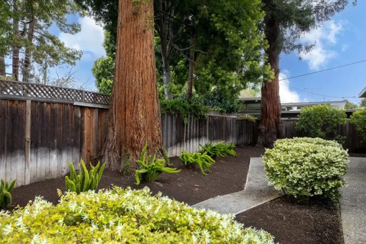 1535 Channing Avenue, Palo Alto, California 94303
