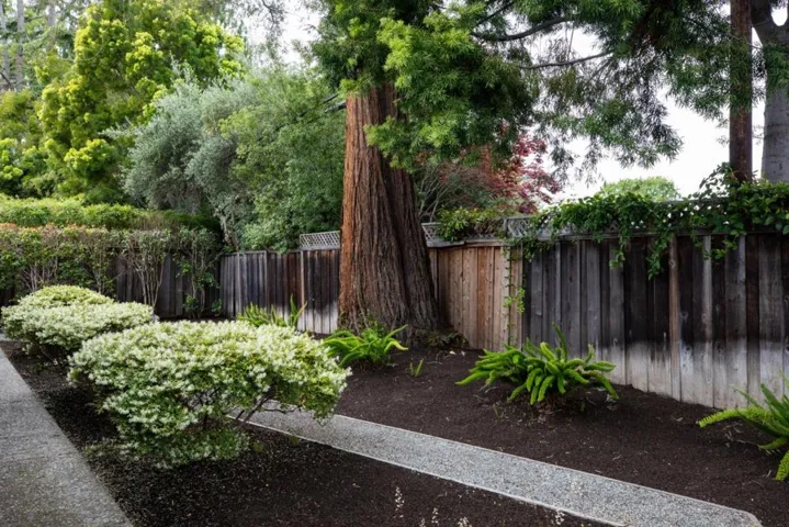 1535 Channing Avenue, Palo Alto, California 94303