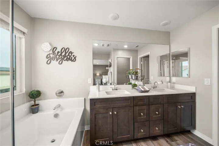 Primary Bathroom with Tub and Walk-In Shower (#2)