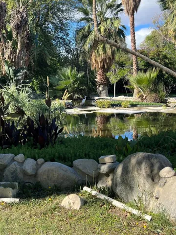 Pond with Egret