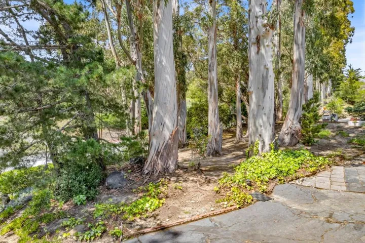 1680 Skyline Boulevard, Burlingame, California 94010