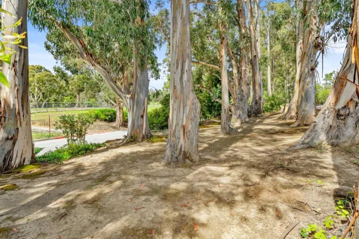 1680 Skyline Boulevard, Burlingame, California 94010