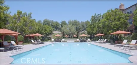 Jr Olympic size saltwater pool