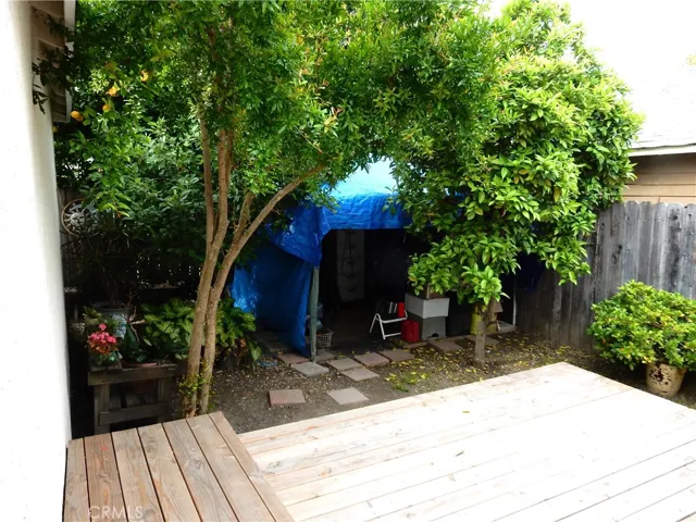 Backyard has fruit trees.