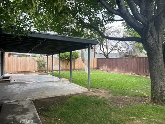 Fenced back yard with a lemon tree