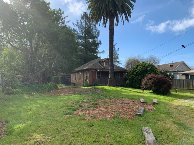 Front Yard