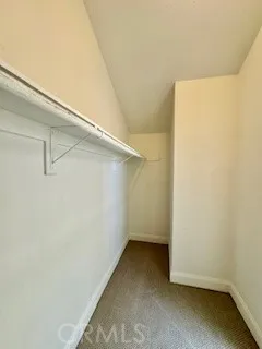 Spacious Walk in closet