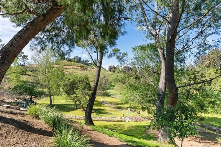 View towards meadow
