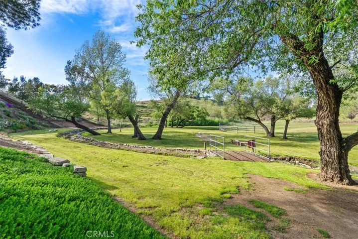 Bridge over seasonal stream & meadow