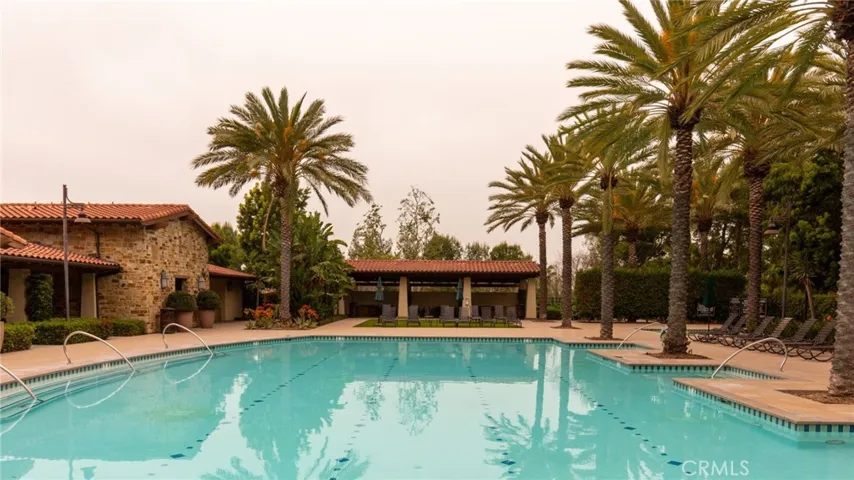 Sparkling community pool surrounded by palm trees.
