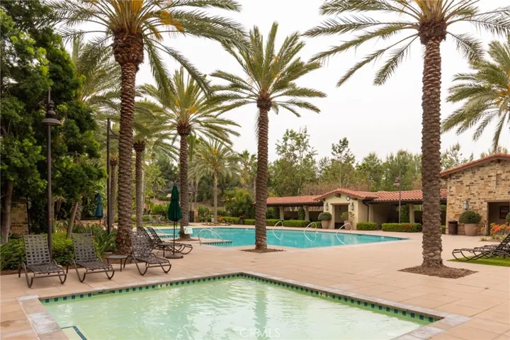 Sparkling community pool surrounded by palm trees.