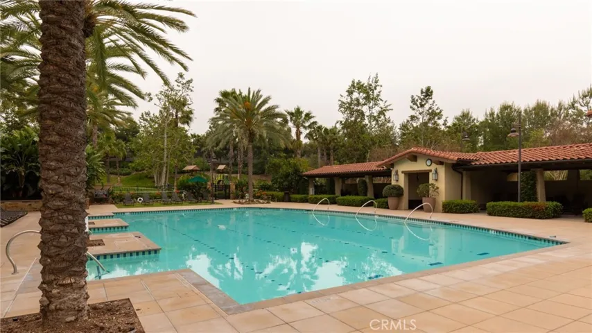 Lap Pool

