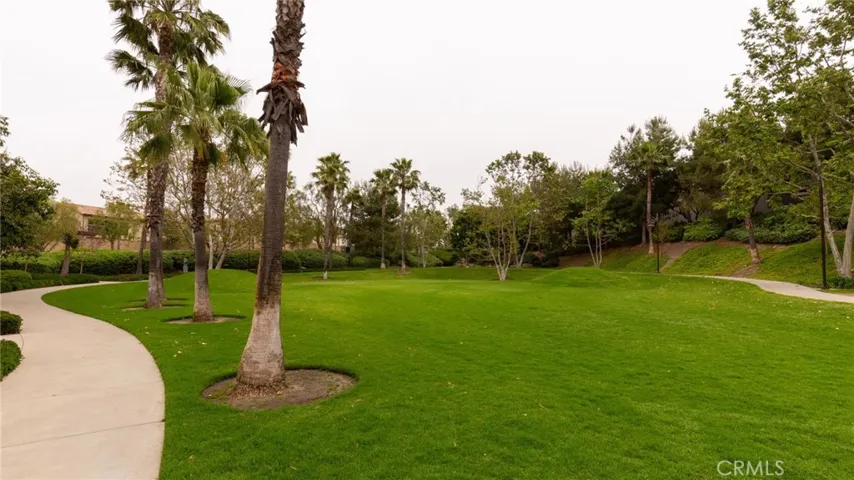 Park for furry friends to play and socialize.