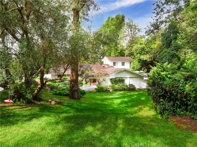 Front shot from your own forested front lawn