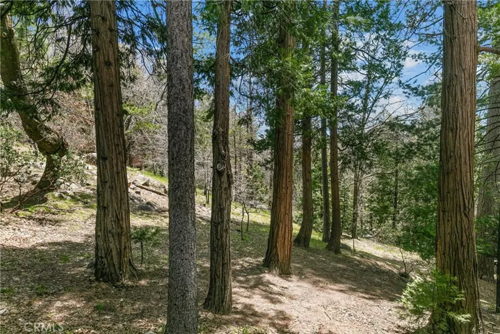 27391 Alpen Drive, Lake Arrowhead, California 92352
