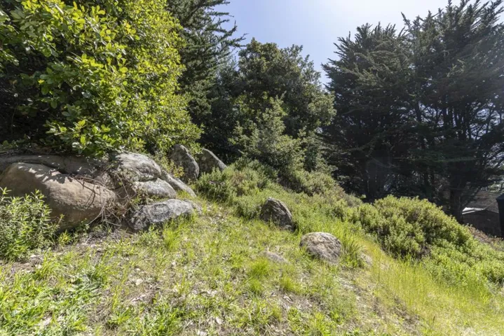 39858 Leeward Road, None, California 95497