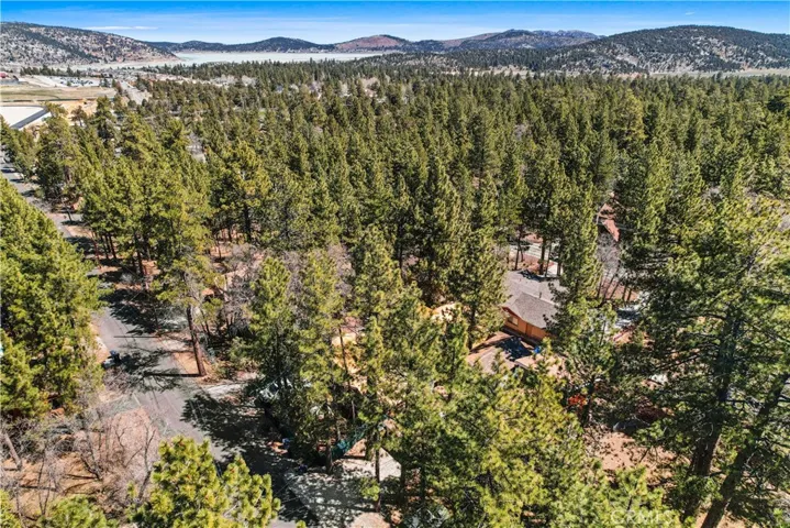 263 Victoria Lane, Sugarloaf, California 92386