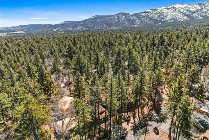 263 Victoria Lane, Sugarloaf, California 92386
