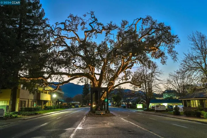 22 Old Town Lane, Danville, California 94526