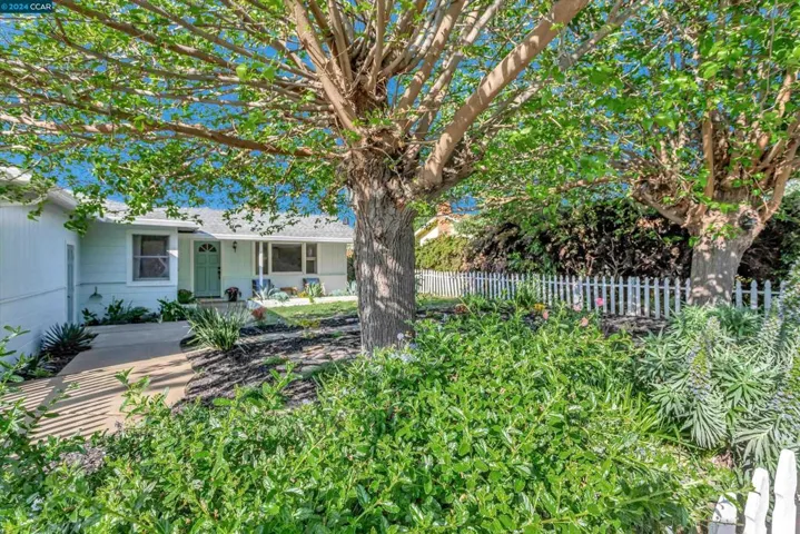 3413 Reed Way, Concord, California 94518