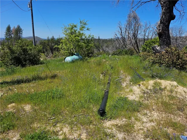 24 Mills Ranch Road, Oroville, California 95966