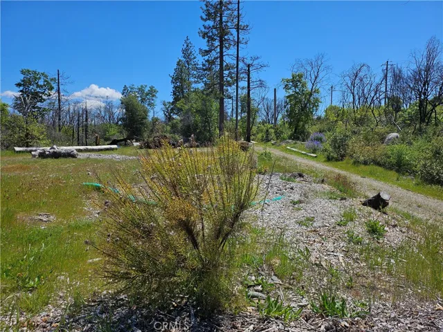 24 Mills Ranch Road, Oroville, California 95966