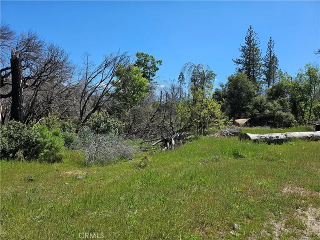24 Mills Ranch Road, Oroville, California 95966