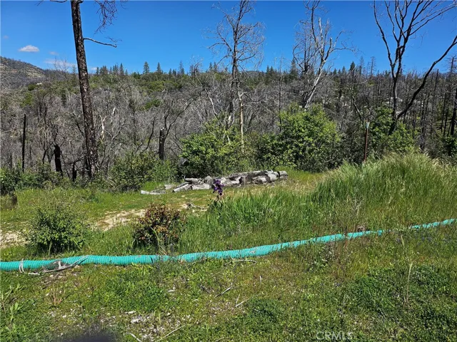 24 Mills Ranch Road, Oroville, California 95966