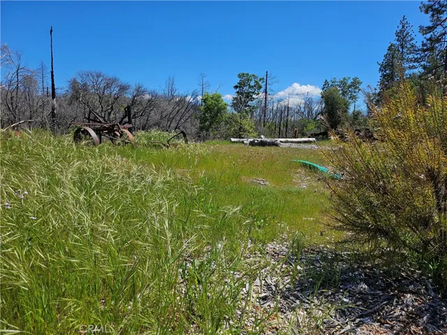 24 Mills Ranch Road, Oroville, California 95966
