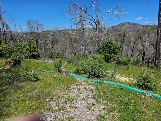 24 Mills Ranch Road, Oroville, California 95966