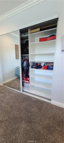 Custom Designed Closet Interiors