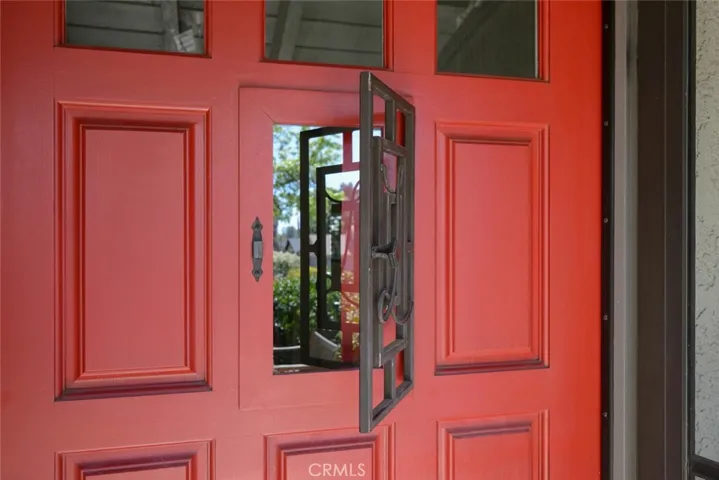 One of a kind, custom & unique "speak easy" front door