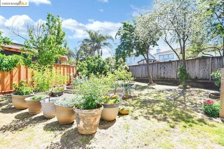 114 Amador Ct, Oakley, California 94561