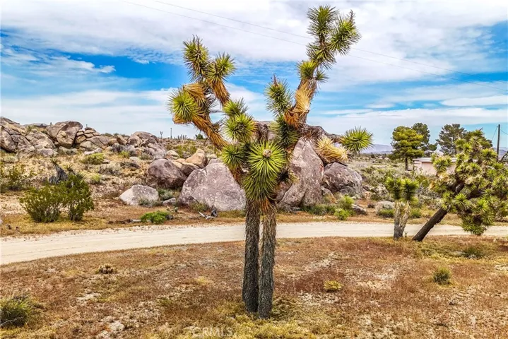 55525 Wood Road, Yucca Valley, California 92284