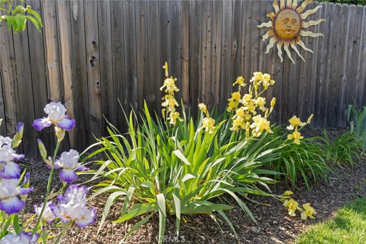 307 Gooselake Circle, Chico, California 95973
