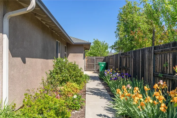 Side yard