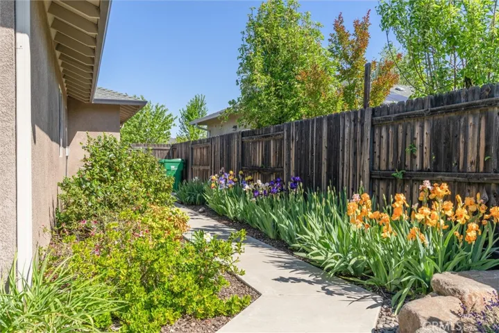 Side yard