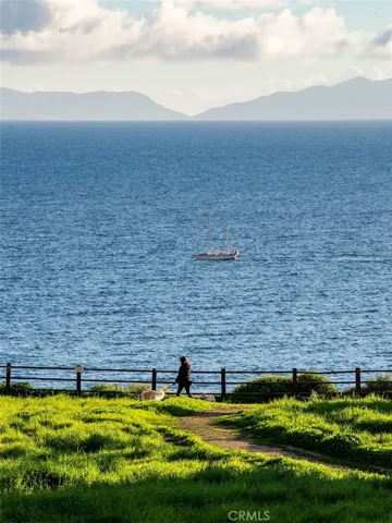 Ocean View Off of Terranea - Surrounding Area
