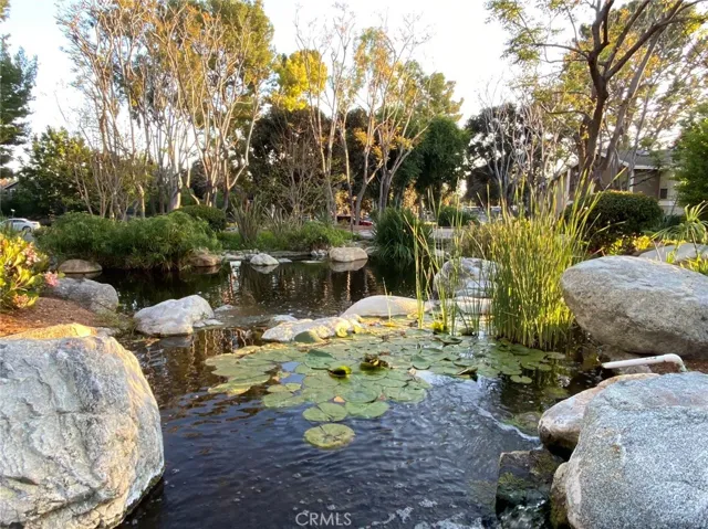 208 Pineview, Irvine, California 92620