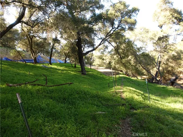 Homesite area